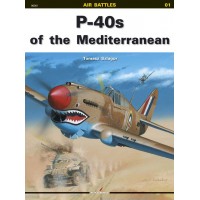01 P-40s of the Mediterranean