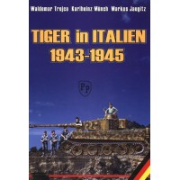 Tiger in Italien 1943 - 1945