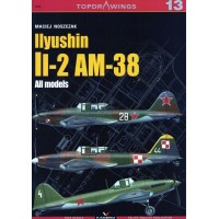 13,Ilyushin Il-2 AM-38