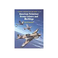 041,American Volunteers group Colors & Markings