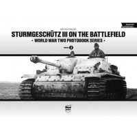 2,Sturmgeschütz III on the Battlefield
