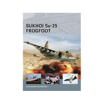 09,Sukhoi Su-25 Frogfoot