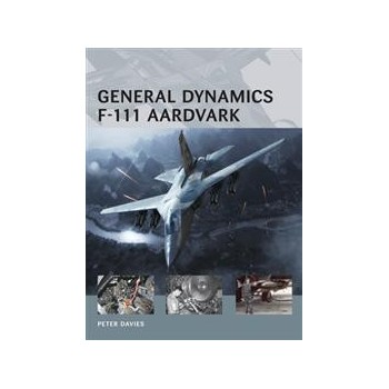 10,General Dynamics F-111 Aardvark