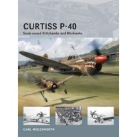 11,Curtiss P-40 Snub-nosed Kittyhawks and Warhawks 