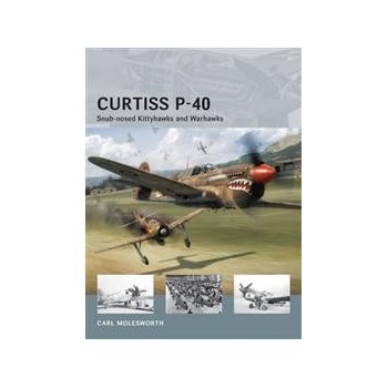 11,Curtiss P-40 Snub-nosed Kittyhawks and Warhawks 