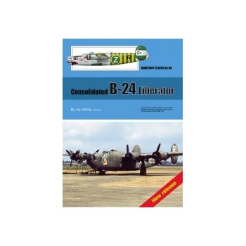 96,Consolidated B-24 Liberator