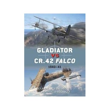 47,Gladiator vs CR.42 Falco 1940-41