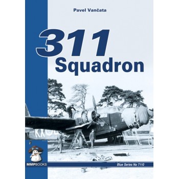 311 Squadron
