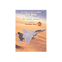 027,Air War in the Gulf 1991