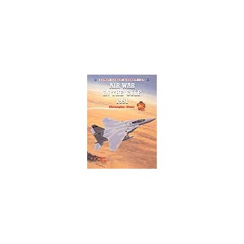 027,Air War in the Gulf 1991