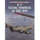 038,B-17 Flying Fortress of the MTO