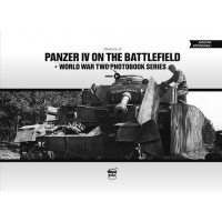10,Panzer IV on the Battlefield