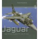 Aircraft in Detail Vol.1 : Jaguar