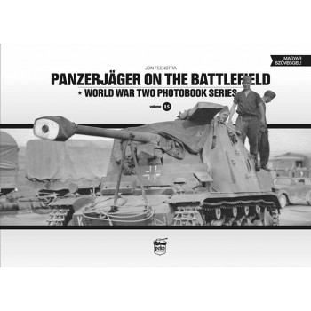 15, Panzerjäger on the Battlefield