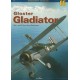 65, Gloster Gladiator Mk I and Mk II (And Sea Gladiator)