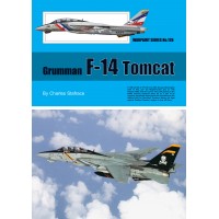 126, Grumman F-14 Tomcat