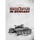 Last Panzer Battles in Hungary Spring 1945