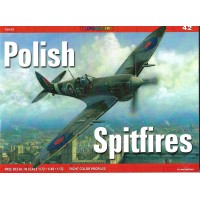42, Polish Spitfires