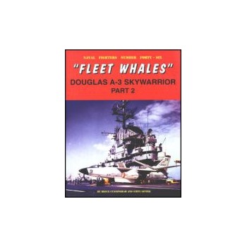 046,"Fleet Whales" Douglas A-3 Skywarrior Part 2