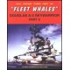 046,"Fleet Whales" Douglas A-3 Skywarrior Part 2