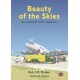 Beauty of the Skies - de Havilland DH 91 Albatross