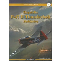 9, Republic P-47 D Thunderbolt Bubbletop