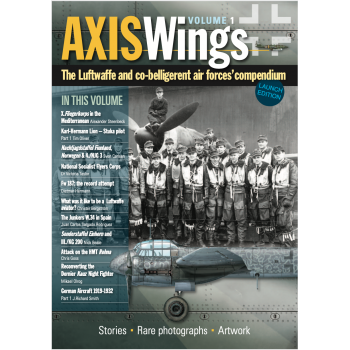 Axis Wings Vol. 1 : The Luftwaffe and co-belligerent Air Forces Compendium