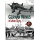 German Wings in Italian Skies: Imperial, Inter-War and Luftwaffe Military Aircraft in Italy 1911-1945