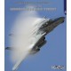 Uncovering the Grumman F-14 A/B/D Tomcat