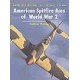 080,American Spitfire Aces of World War 2