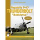 Republic P-47 Thunderbolt "Bubbletop"