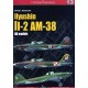 13,Ilyushin Il-2 AM-38