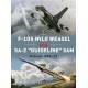 035,F-105 Wild Weasel vs SA-2 "Guideline" SAM Vietnam 1965-1973