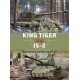 037,King Tiger vs IS-2 Operation Solstice 1945