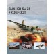 09,Sukhoi Su-25 Frogfoot