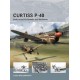 11,Curtiss P-40 Snub-nosed Kittyhawks and Warhawks 