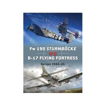 24,FW 190 Sturmböcke vs B-17 Europe 1944-45