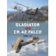 47,Gladiator vs CR.42 Falco 1940-41