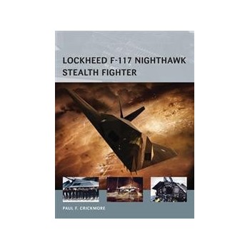 16,Lockheed F-117 Nighthawk Stealth Fighter