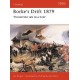 41,Rorke`s Drift 1879