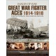 Great War Fighter Aces 1914 - 1916