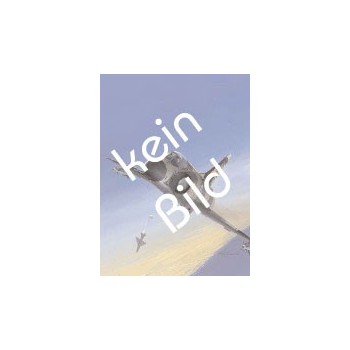 Jagdgeschwader 53 Teil 2