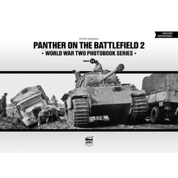 11, Panther on the Battlefield 2