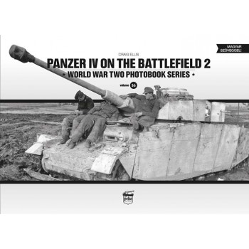 16, Panzer IV on the Battlefield 2