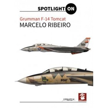 Grumman F-14 Tomcat Spotlight On