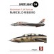Grumman F-14 Tomcat Spotlight On