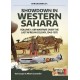 33, Showdown in Western Sahara Vol.1 : Air Warfare over the Last African Colony.1945 - 1975