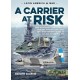 14, A Carrier at Risk
