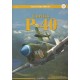4, Curtiss P-40 Vol.1