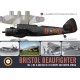 10, Bristol Beaufighter Mk I , MK II and Mk VI F in Europe and North Africa